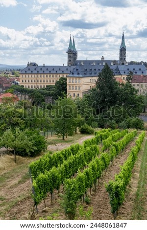 View over the vineyards to the historic old town of Bamberg from Michaelsberg. Royalty-Free Stock Photo #2448061847