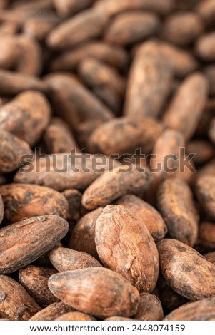 Dry cocoa seeds. Organic healthy organic food, Concept, cocoa prices, High content of magnesium and theobromine, Food industry for making chocolate, drinks, cakes and ice cream, vertical, close up