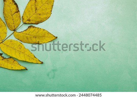 leaf wallpaper and background copy-paste