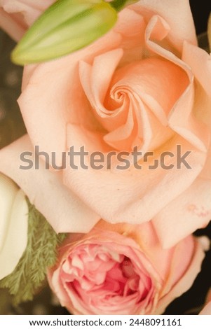 A close up of a pink rose with a green stem. The rose is the main focus of the image, and it is the most vibrant and beautiful flower in the scene