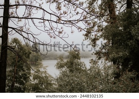 Moody weather in the mountains by the lake with trees and forest. Northern California.