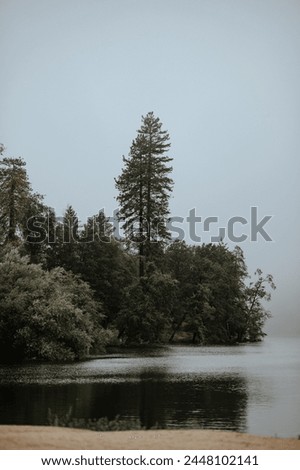 Moody weather in the mountains by the lake with trees and forest. Northern California. Royalty-Free Stock Photo #2448102141