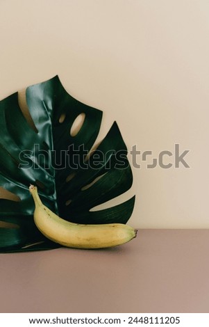 Beautiful Pictures of Banana Fruits