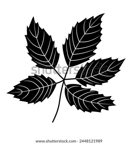 Tree leaf silhouette isolated cutout black and white monochrome vector clipart illustration. Autumn leaves design element. Nature pictogram, logo or icon. Tree foliage simple cartoon doodle.