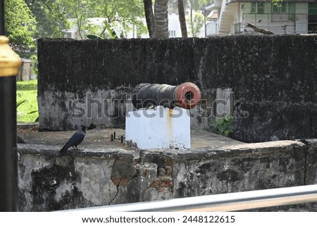 Armory of Portugal in fort Kochi beach  Royalty-Free Stock Photo #2448122615