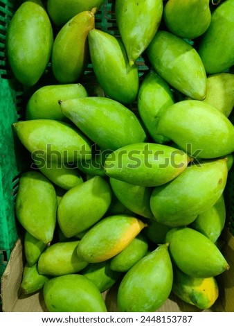 Stunning close-up of green unripened bunch of Salem Mangoesplaced on green basket kept ready for sale in the market detailed view ultra hd hi-res jpg stock image photo picture selective focus top view