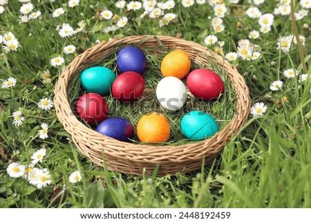 Closeup of colorful eggs in beautiful spring meadow on easter holiday outdoors in green graas.Traditional symbol for christian and catholic holiday. Egg for traditon hunt for children