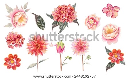 Set of watercolor flowers in terracotta color. Blooming hydrangea and dahlias on an isolated background. Autumn hand drawn clipart for design.