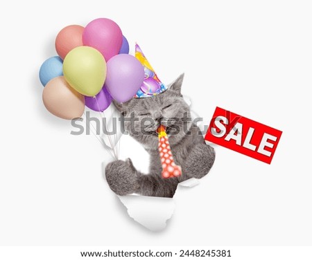 Happy cat wearing party cap blows in party horn, looks through the hole in white paper, shows signboard with labeled "sale" and holds balloons 