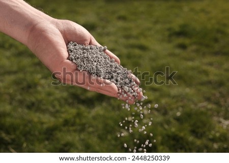 Man fertilizing green grass on sunny day, closeup Royalty-Free Stock Photo #2448250339