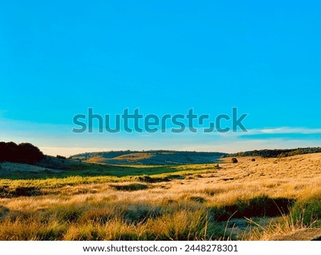 Horton plains the beautiful blue sky and green and yellow plains in Sri lanka