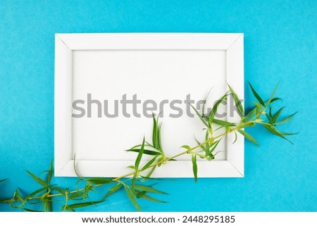wooden photo frame and branch with leaves on isolated blue background with copy space and place for your text.