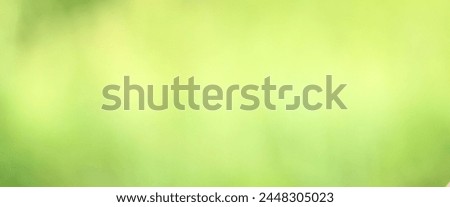 green red background. blur, abstract, background.