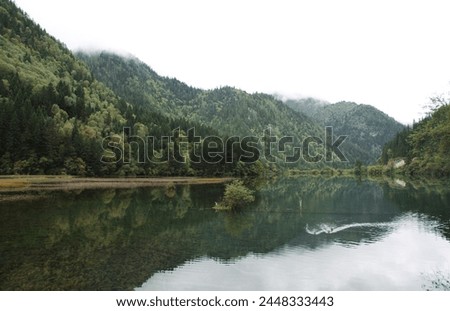 exterior nice landscape photo view of  Jiuzhaigou Valley lake pond river with clear pure transparent water flat soft surface with wild animal bird duck family swimming floating on it