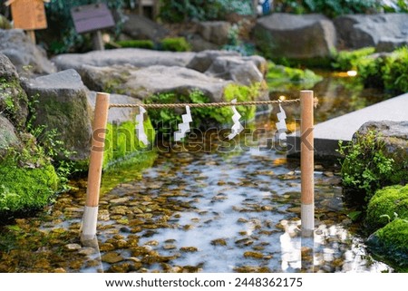 Walking in a Japanese park - Japanese mini torii gate in a small ditch.