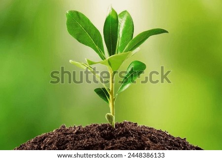 Plants are one of the most essential living organisms on earth. They are immensely beneficial to both animals and human beings.They produce oxygen which is crucial for the survival of living organism. Royalty-Free Stock Photo #2448386133