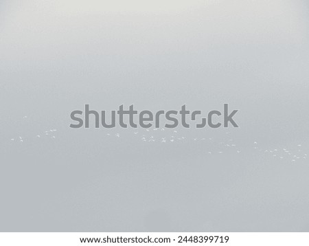 Cloudy sky background with flock of birds in the sky