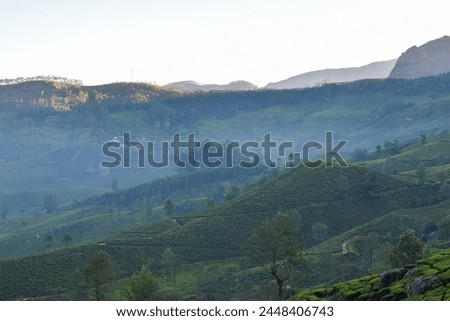 Mesmerizing morning view from Munnar kerala
