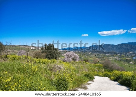 Green landscape with spring flowers and blossoming almond trees along the Arnies Nature Trail at the town of Agios Dimitrianos, Paphos district, Cyprus
 Royalty-Free Stock Photo #2448410165