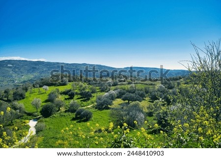 Green landscape with spring flowers and blossoming almond trees along the Arnies Nature Trail at the town of Agios Dimitrianos, Paphos district, Cyprus
 Royalty-Free Stock Photo #2448410903