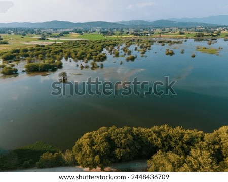 drone shot aerial view top angle bright sunny bird sanctuary thorn tree lake pond greenery background wallpaper forest jungle woods canopy afforestation tropical rainforest india Kerala turquoise blue