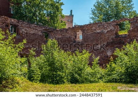 The ruins of an ancient castle. A crumbling wall of red old brick amidst plants and trees in the summer period on a sunny day against the backdrop of a blue sky. Archaeology. Abandoned castles. Beauti