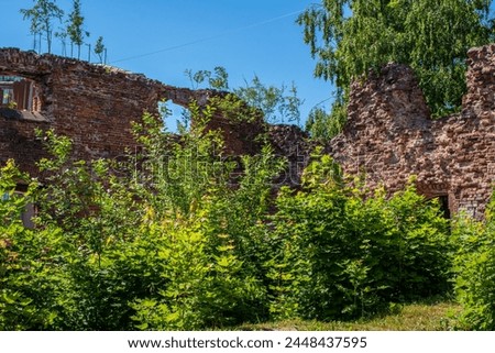 The ruins of an ancient castle. A crumbling wall of red old brick amidst plants and trees in the summer period on a sunny day against the backdrop of a blue sky. Archaeology. Abandoned castles. Beauti