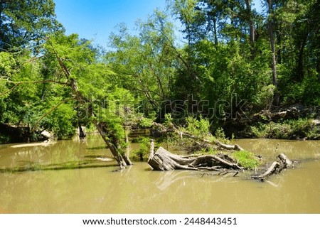 This is a picture of several trees that have fallen into a small river. The trees has moss and other vegetation growing on them as the river flows beneath them.