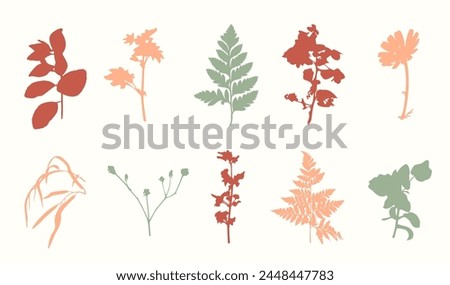 Trendy botanical floral silhouettes set. Minimal plants clip arts. Hand drawn shapes elements collection. Vector flat illustration. Vintage retro design
