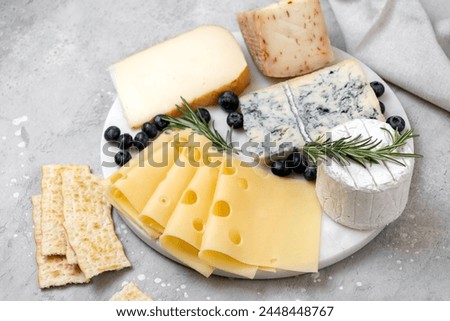 Cheese platter with craft cheese assortment on a marble platter. hard cheeses, mold cheese, gorgonzola, pecorino, Emmental, Roquefort Royalty-Free Stock Photo #2448448767