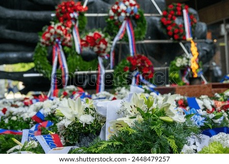 Close-up of flowers at Museum of the Slovak National Uprising in Banska Bystrica, Slovakia Royalty-Free Stock Photo #2448479257