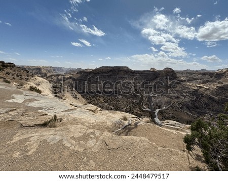 Small grand canon in Utah taken on a windy but clear and beautiful day Royalty-Free Stock Photo #2448479517