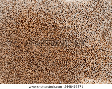 Buckwheat Grain Texture Food Background