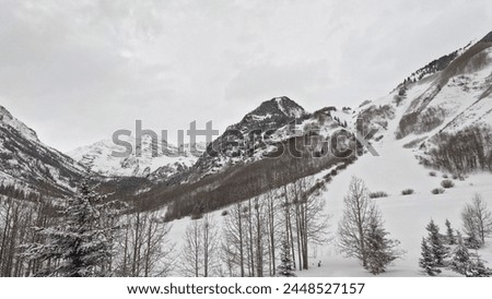 Winter Majesty: A Breathtaking Sight of Snowy Peaks and Tranquil Woodlands