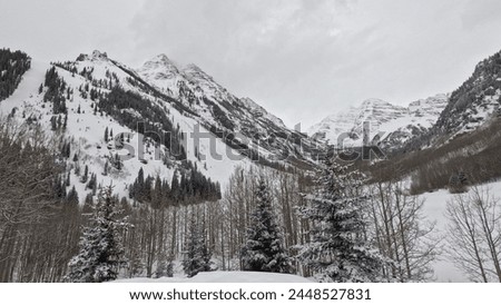 Winter Majesty: Beholding Snowy Peaks and Serene Woodlands