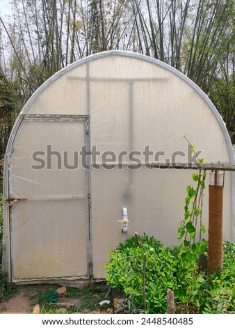 Stunning close-up of Polycarbonate green house in the garden with a triangular roof detailed view ultra hd hi-res jpg stock image photo picture selective focus vertical background side ankle view 