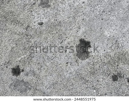 a photography of a bear paw print in the cement.