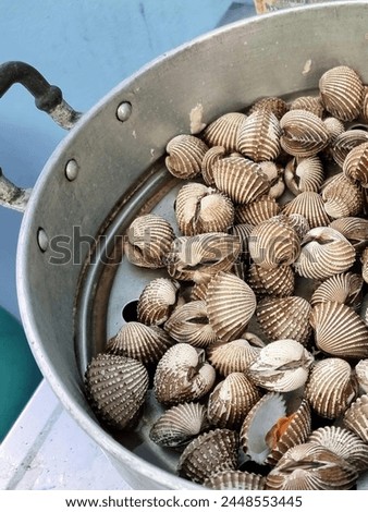 a photography of a pan filled with clams on top of a table.