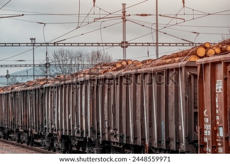 Timber on the freight train. Transportation and sustainable development theme. Spring foggy morning at the train station. Rail transport. Wagons laden with wood. Royalty-Free Stock Photo #2448559971