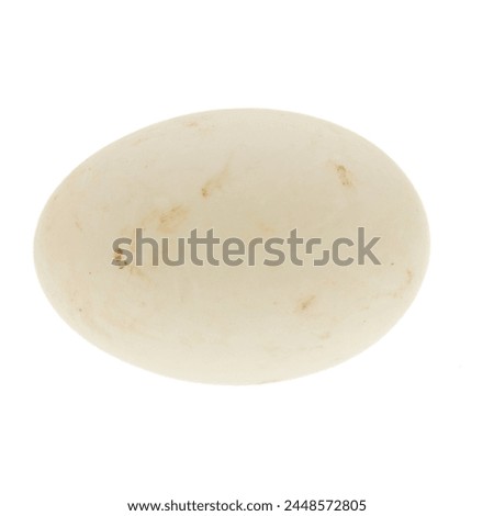 This is a photo of a duck egg.