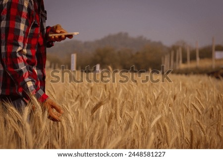 There was a man wearing a plaid shirf shirt standing in ariae field taking photos of barley.