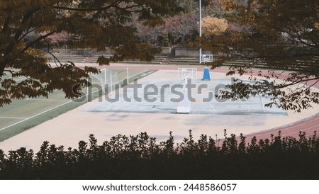 A basketball court with a blue floor visible between the trees