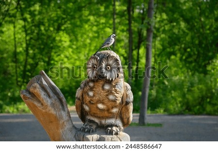 wagtail bird on wooden sculpture of owl bird in garden. white wagtail bird (common Motacilla alba). protection and care of wild animals, birds and environment, ecology. save wildlife. Royalty-Free Stock Photo #2448586647