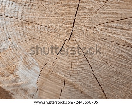 Discover the allure of this wood grain image, perfect for design projects and DIY tutorials. Its natural warmth and detailed texture offer a versatile, authentic touch to any creative endeavor
