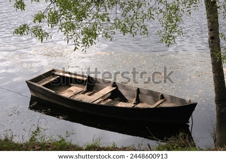 Old wooden rowing boat sitting on a lake, forgotten, aged without people among the branches of a tree