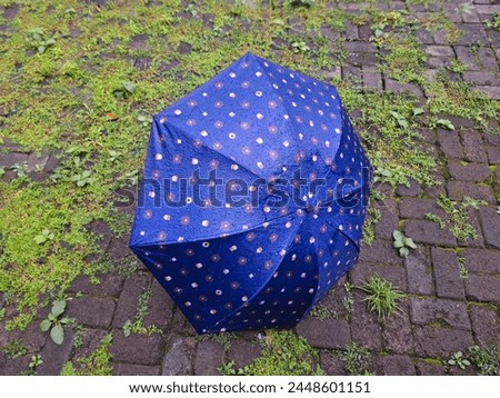 Brown bear umbrella in the yard