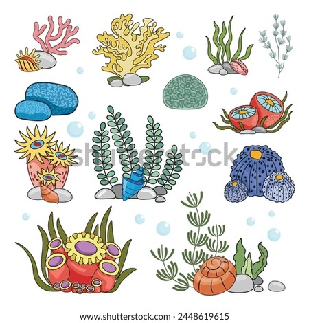 Marine set, anemones, algae and coral in a simple cartoon style. Color graphics for books and posters. children guides