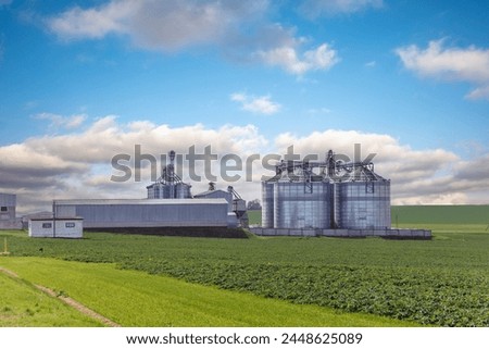 silos on agro-industrial complex with seed cleaning and drying line for grain storage Royalty-Free Stock Photo #2448625089