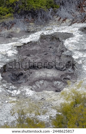 Sulfur springs, volcanic activity, zone of geothermal activity in the Rotorua region North Island of New Zealand Royalty-Free Stock Photo #2448625817
