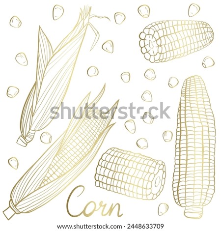 seamless pattern of corn on white